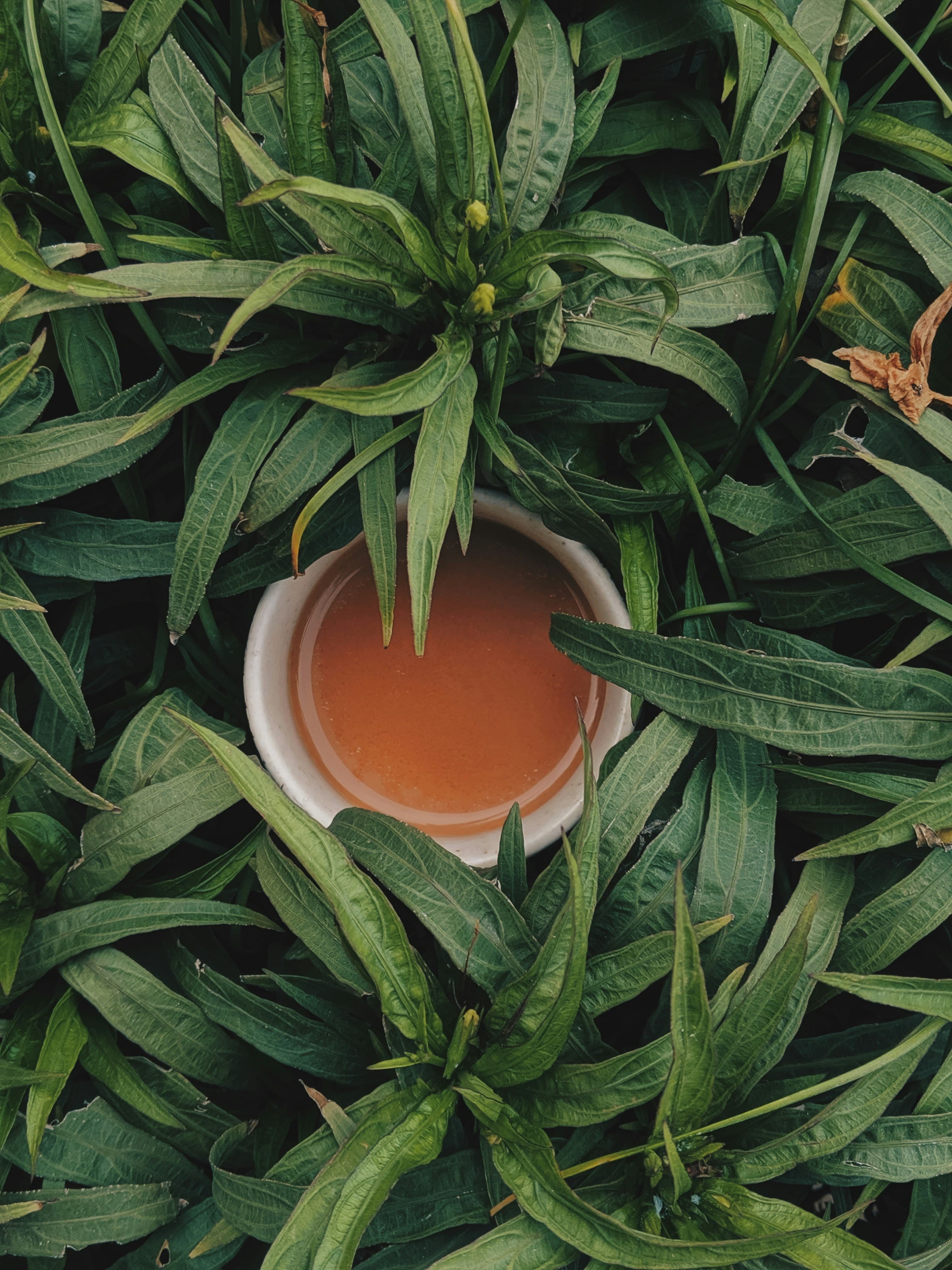 Bengaluru Specialty Roasters